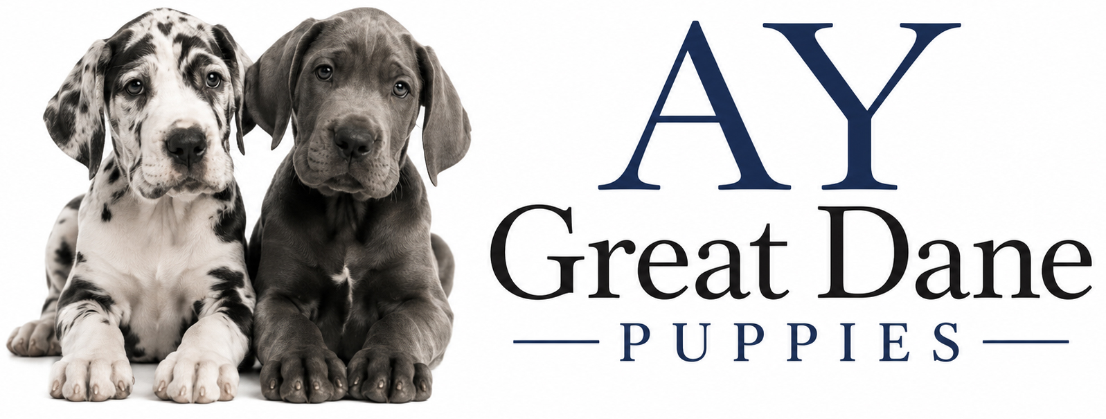 Mark Great Dane Puppies logo