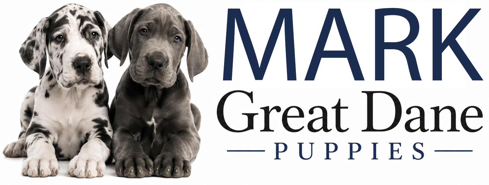 Mark Great Dane Puppies logo